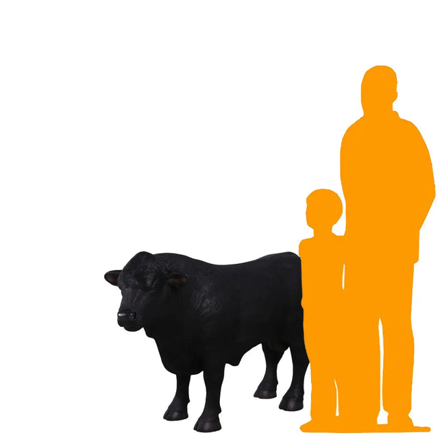 Black Young Angus Bull Looking Left Statue LM Treasures - H