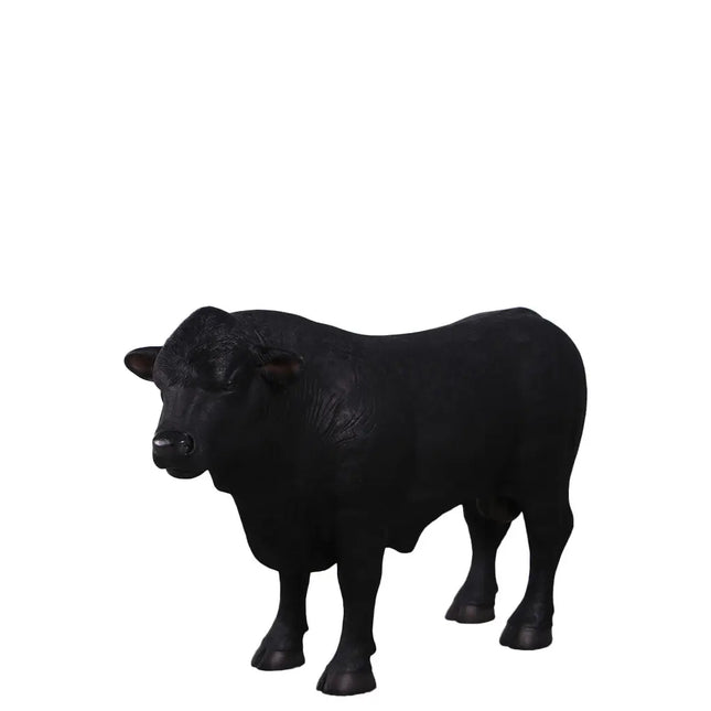 Black Young Angus Bull Looking Left Statue LM Treasures - H