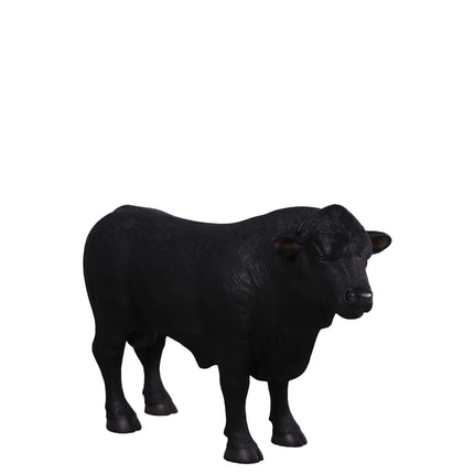 Black Young Angus Bull Looking Right Statue