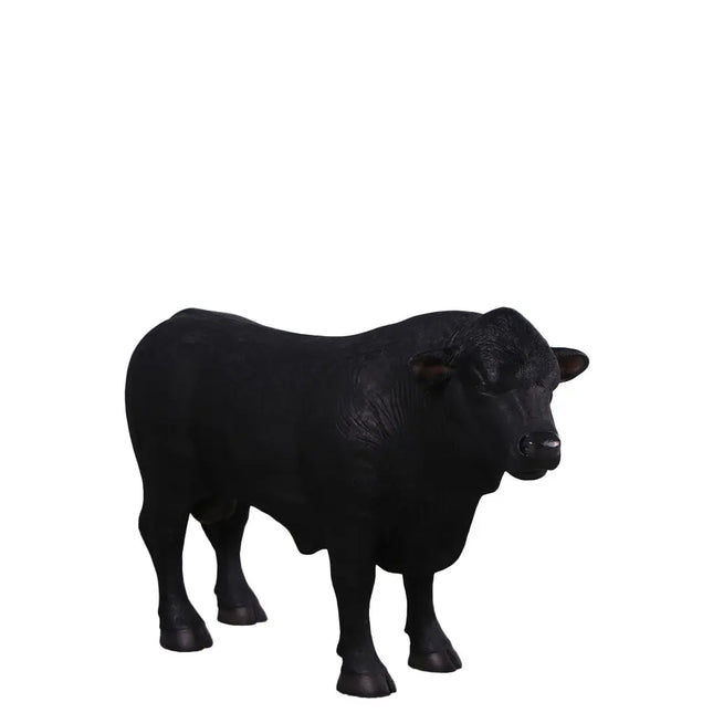 Black Young Angus Bull Looking Right Statue LM Treasures - H