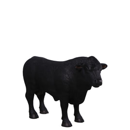 Black Young Angus Bull Looking Right Statue
