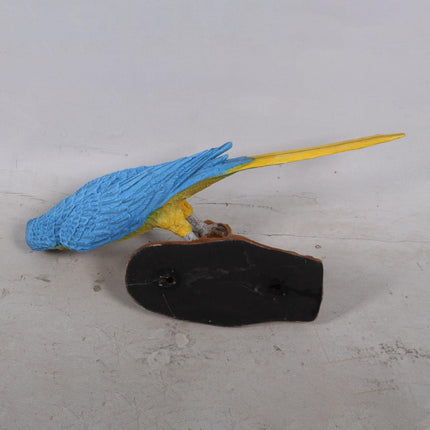 Yellow Blue Parrot Wall Decor Life Size Statue