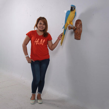 Yellow Blue Parrot Wall Decor Life Size Statue