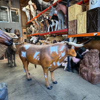 Texas Long Horn Bull Life Size Statue