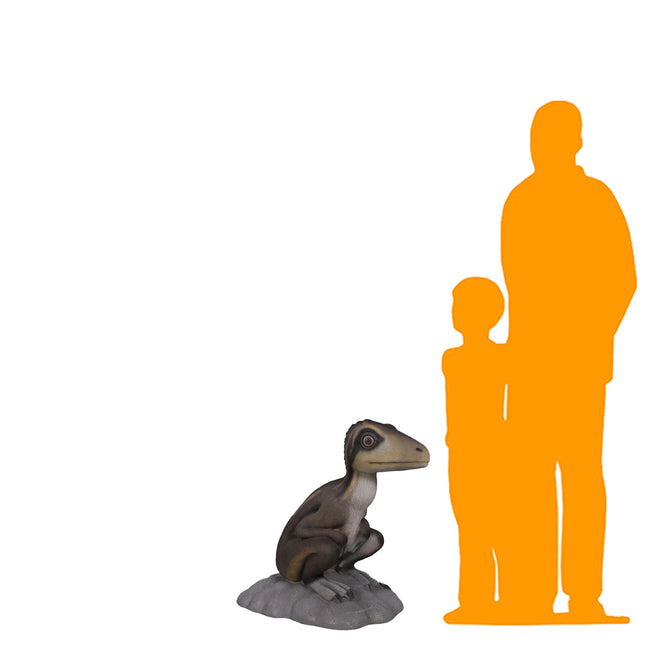 Sitting Juvenile Theropod Dinosuar Life Size Statue