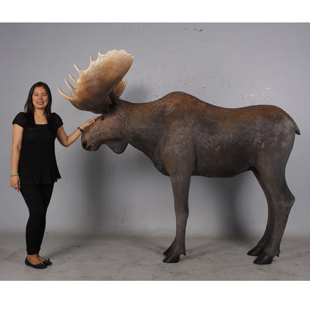 North American Moose Life Size Statue - LM Treasures 