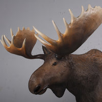 North American Moose Life Size Statue - LM Treasures 