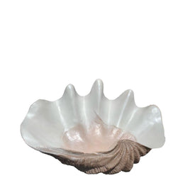 Sea Shell Life Size Statue - LM Treasures 