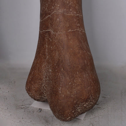 Titanosaur Femur Dinosaur Bone Life Size Statue