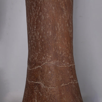 Titanosaur Femur Dinosaur Bone Life Size Statue