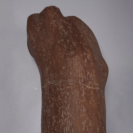 Titanosaur Femur Dinosaur Bone Life Size Statue