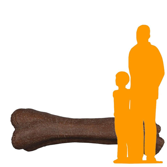 Titanosaur Femur Dinosaur Bone Life Size Statue