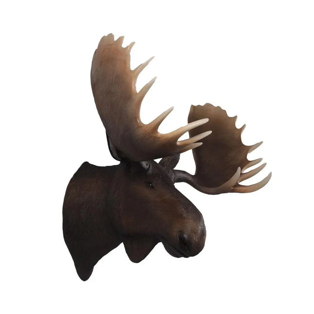 Moose Head Life Size Statue LM Treasures - H