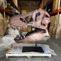 Jumbo T-Rex Skull On Base Life Size Statue - LM Treasures 