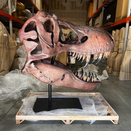 Jumbo T-Rex Skull On Base Life Size Statue - LM Treasures 