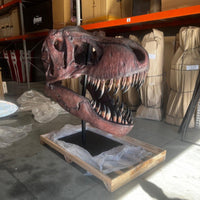 Jumbo T-Rex Skull On Base Life Size Statue - LM Treasures 