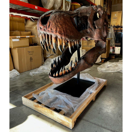 Jumbo T-Rex Skull On Base Life Size Statue - LM Treasures 