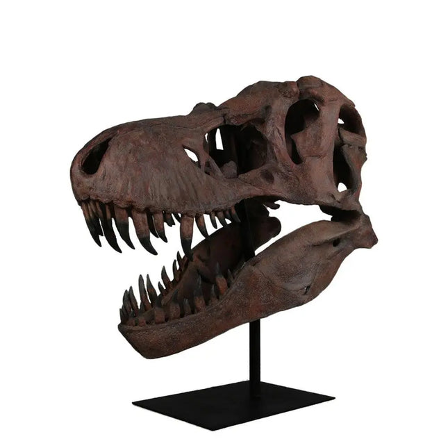 Jumbo T-Rex Skull On Base Life Size Statue LM Treasures - H