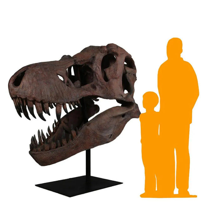 Jumbo T-Rex Skull On Base Life Size Statue LM Treasures - H