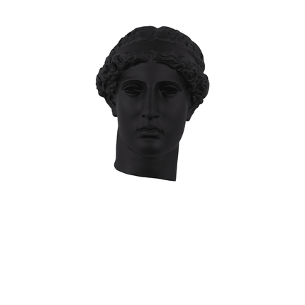 David Head Wall Décor Life Size Statue - LM Treasures 