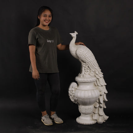 Peacock on Urn Stone Finish Statue