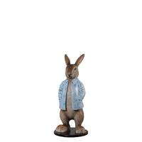 Rob The Bunny Rabbit With Long Jacket Statue - LM Treasures 