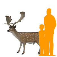 Buck Fallow Deer Life Size Statue - LM Treasures 