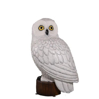 Snow Owl Over Sized Statue - LM Treasures 