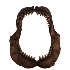 Large Megalodon Shark Jaw Photo Op Statue LM Treasures - H