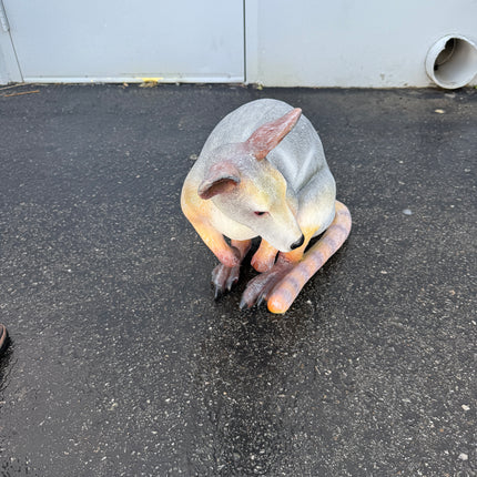 Wallaby Kangaroo Crouching Life Size Statue