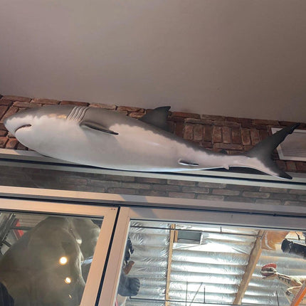 Small Great White Shark Wall Decor Statue - LM Treasures 