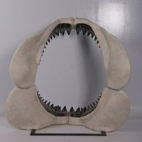 Megalodon Shark Jaw Statue - LM Treasures 