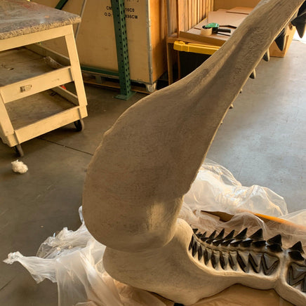 Megalodon Shark Jaw Statue - LM Treasures 