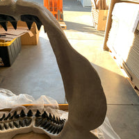 Megalodon Shark Jaw Statue - LM Treasures 