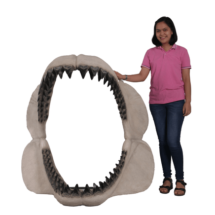 Megalodon Shark Jaw Statue - LM Treasures 