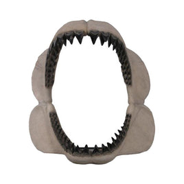 Megalodon Shark Jaw Statue - LM Treasures 