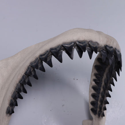 Hanging Megalodon Shark Jaw Statue - LM Treasures 