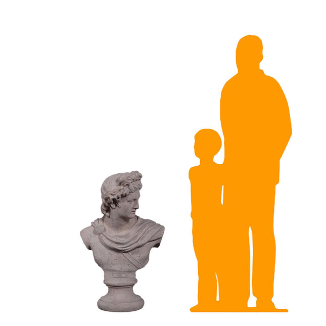 Apollo Bust Life Size Statue