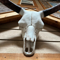 Small Bull Skull Life Size Statue - LM Treasures 