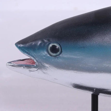 Close-up of a shark model on a stand with a white background