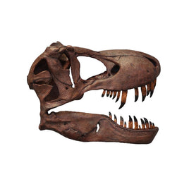 T-Rex Skull Wall Decor Life Size Statue - LM Treasures 