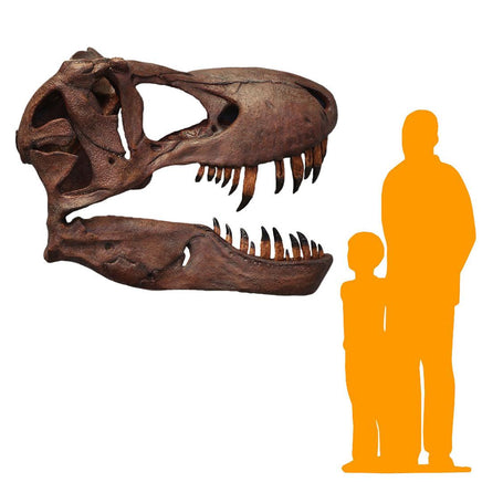 T-Rex Skull Wall Decor Life Size Statue - LM Treasures 