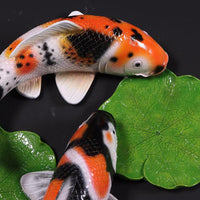 Yin Yang Koi Fish Wall Decor Statue - LM Treasures 