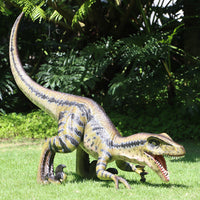 Velociraptor Baby Razor Dinosaur Life Size Statue - LM Treasures 