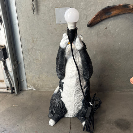 Maine Coon Cat Light Table Top Lamp Statue