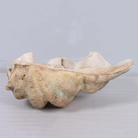 Clam Sea Shell Life Size Statue - LM Treasures 