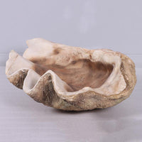 Clam Sea Shell Life Size Statue - LM Treasures 