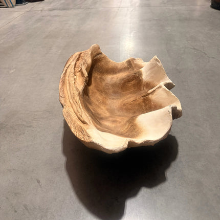 Clam Sea Shell Life Size Statue LM Treasures - H