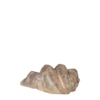 Clam Sea Shell Life Size Statue - LM Treasures 