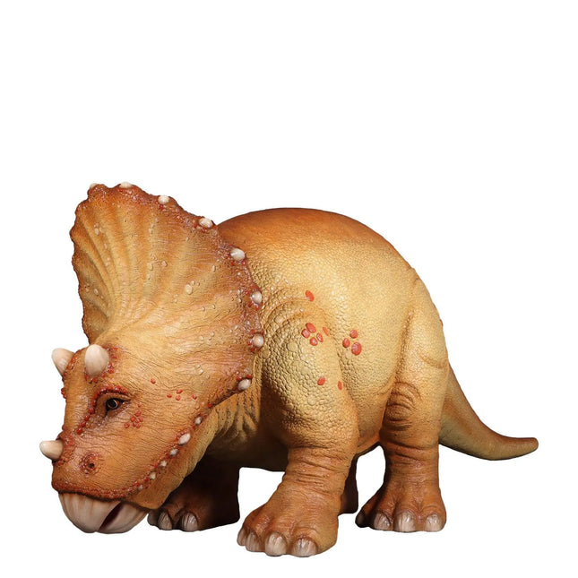 Orange Triceratops Baby Dinosaur Life Size Statue LM Treasures - H